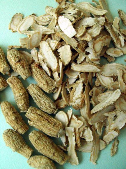 American ginseng
